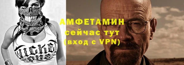 PSILOCYBIN Бородино