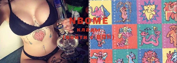 PSILOCYBIN Бородино