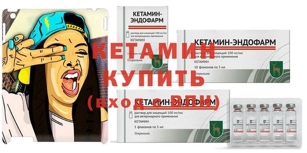 PSILOCYBIN Бородино